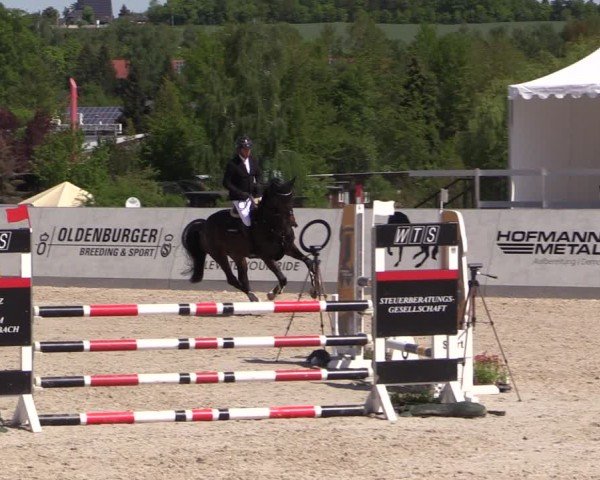 Reitturnier Zwickau 2025