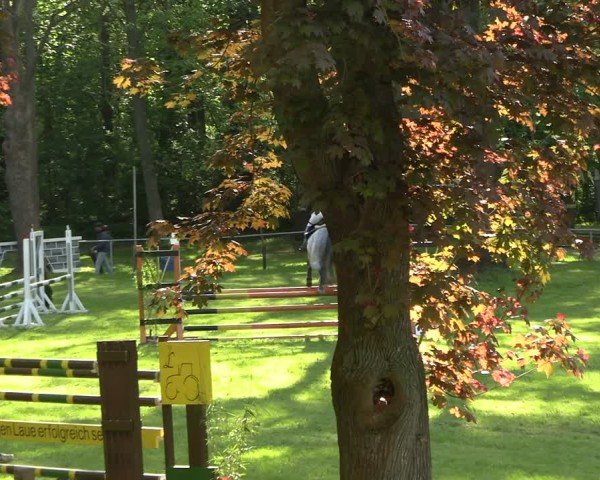 Rideturnering Helmsdorf 2025