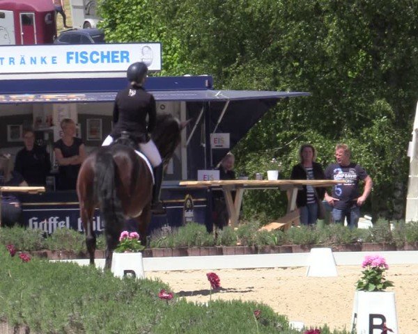 Reitturnier Lindlar - Reitanlage Dückers 2025