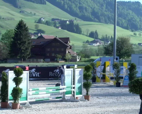 Reitturnier Schüpfheim 2025