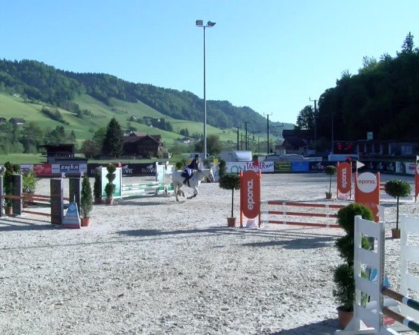 Reitturnier Schüpfheim 2025