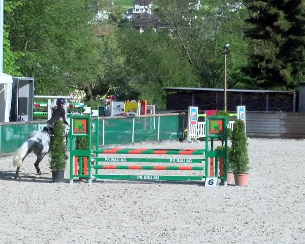 Reitturnier Schüpfheim 2025