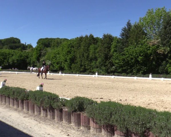 Reitturnier Lindlar - Reitanlage Dückers 2025