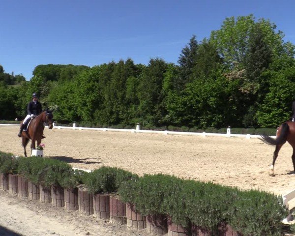 Reitturnier Lindlar - Reitanlage Dückers 2025