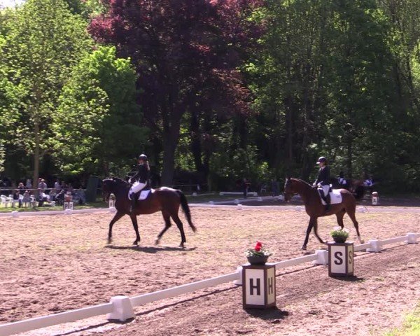 Reitturnier Helmsdorf 2025