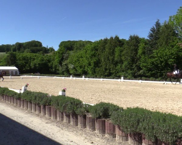 Reitturnier Lindlar - Reitanlage Dückers 2025