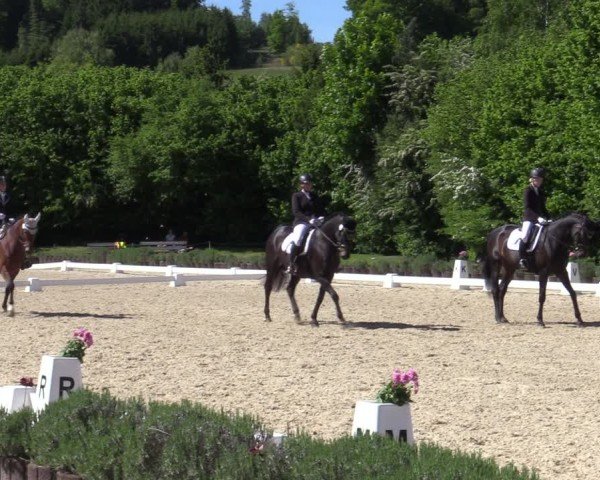 Reitturnier Lindlar - Reitanlage Dückers 2025