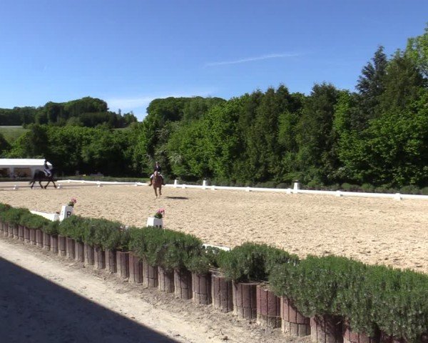 Reitturnier Lindlar - Reitanlage Dückers 2025