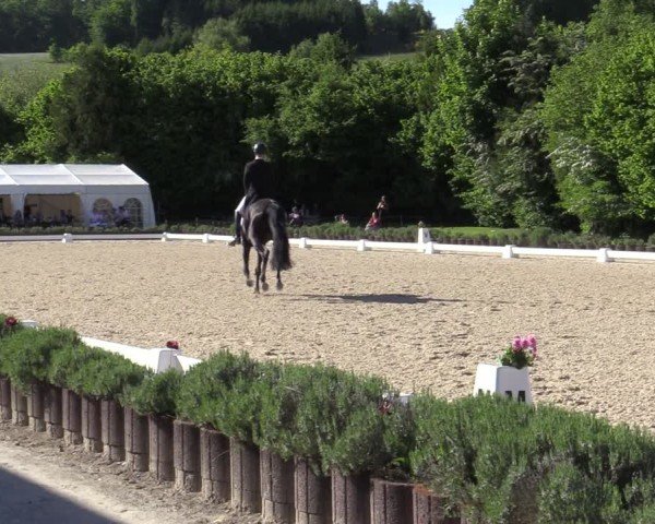 Reitturnier Lindlar - Reitanlage Dückers 2025