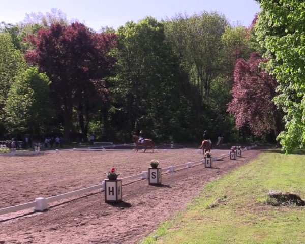 Reitturnier Helmsdorf 2025