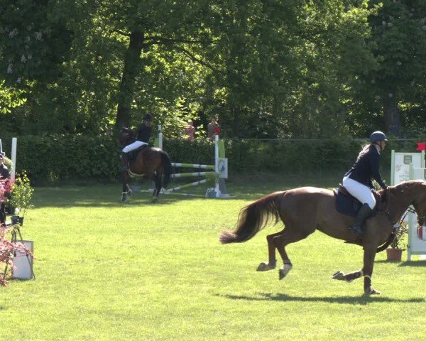Reitturnier Jülich 2025
