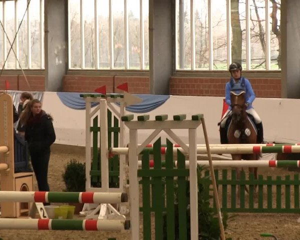 Hallen-Springturnier Greven 2014