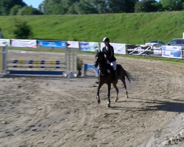 Reitturnier Dorsten 2025