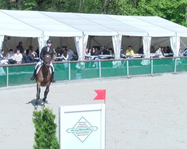 Reitturnier Schüpfheim 2025