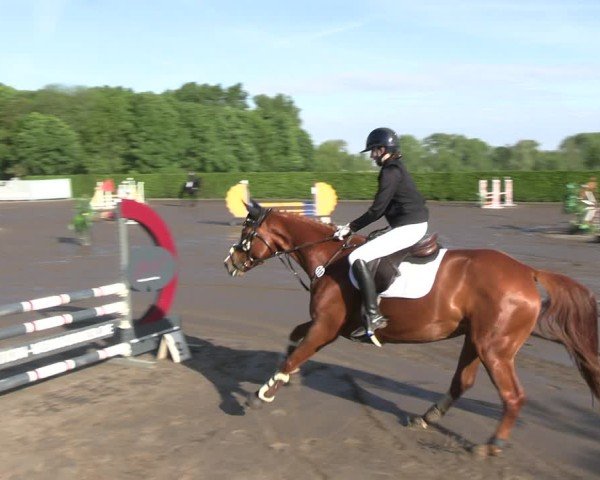 Reitturnier Lentzke - Reitanlage Krehl 2025