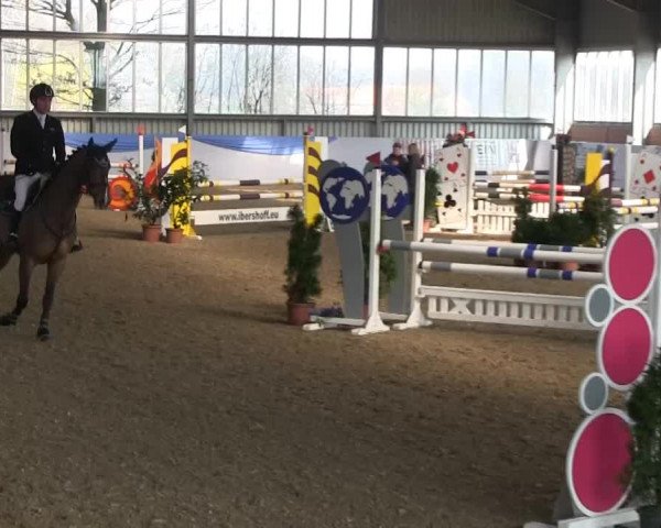 Hallen-Springturnier Greven 2014