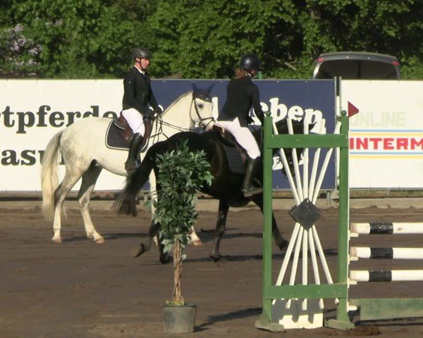 Reitturnier Lentzke - Reitanlage Krehl 2025