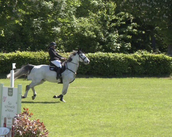 Reitturnier Jülich 2025