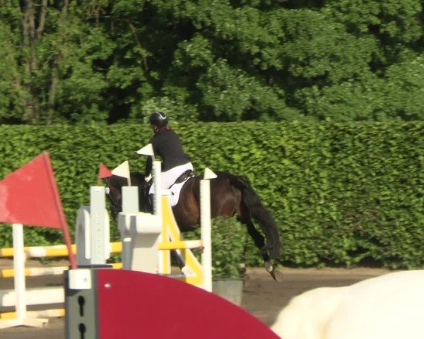 Reitturnier Lentzke - Reitanlage Krehl 2025