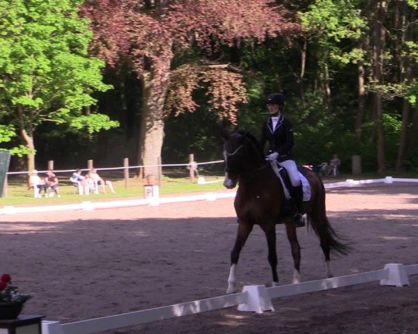 Reitturnier Helmsdorf 2025