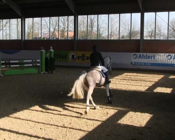 Hallen-Springturnier Greven 2014