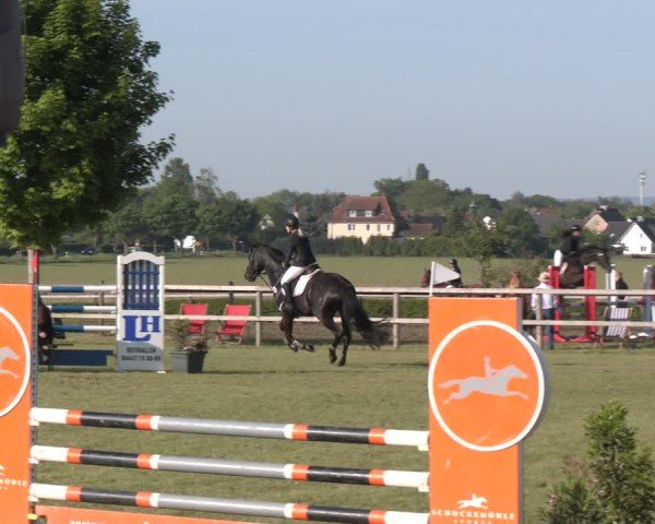 Reitturnier Wilkenburg 2025