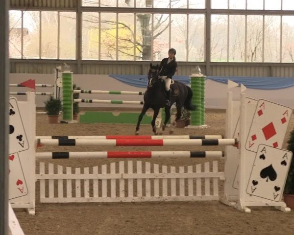 Hallen-Springturnier Greven 2014