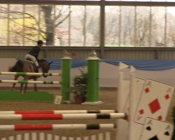 Hallen-Springturnier Greven 2014