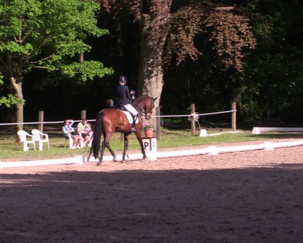 Reitturnier Helmsdorf 2025
