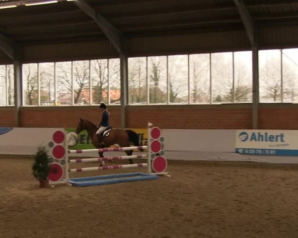 Hallen-Springturnier Greven 2014