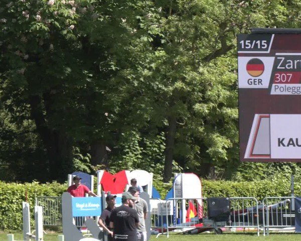 Reitturnier Jülich 2025