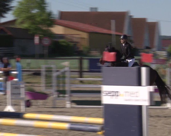 Reitturnier Poxdorf/Ofr 2025