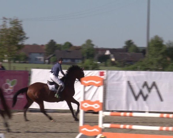 Reitturnier Poxdorf/Ofr 2025