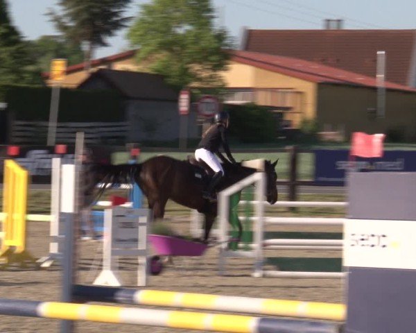 Reitturnier Poxdorf/Ofr 2025