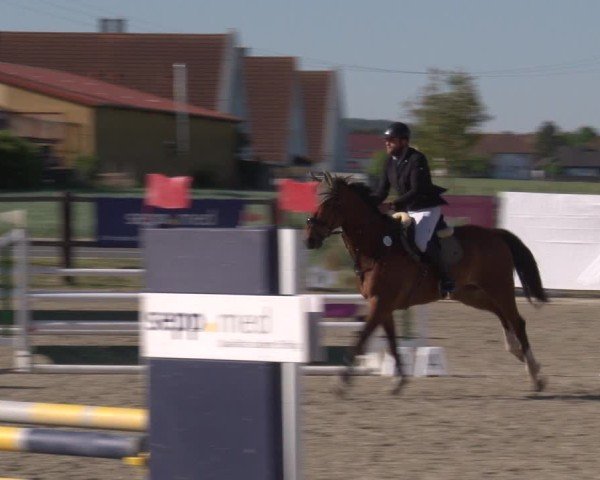 Reitturnier Poxdorf/Ofr 2025