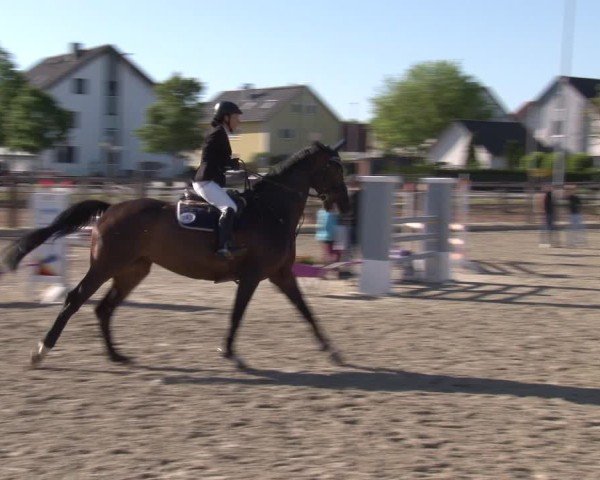 Reitturnier Poxdorf/Ofr 2025