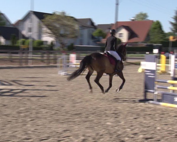 Reitturnier Poxdorf/Ofr 2025