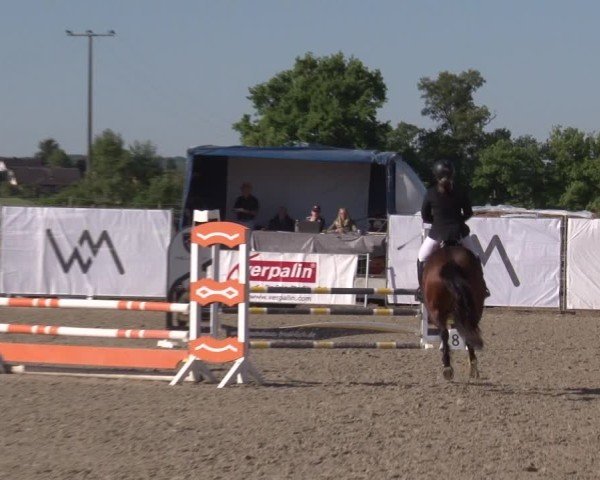 Reitturnier Poxdorf/Ofr 2025