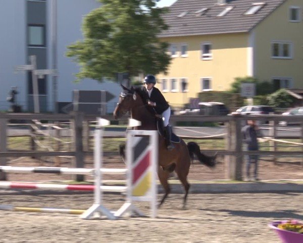Reitturnier Poxdorf/Ofr 2025