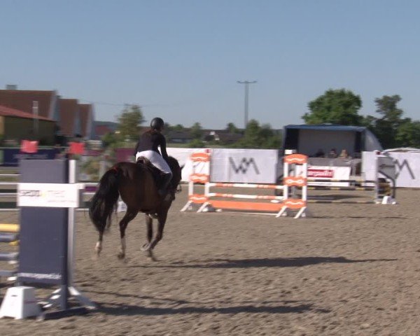 Reitturnier Poxdorf/Ofr 2025