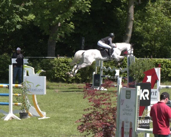 Equestrian Show Jülich 2025