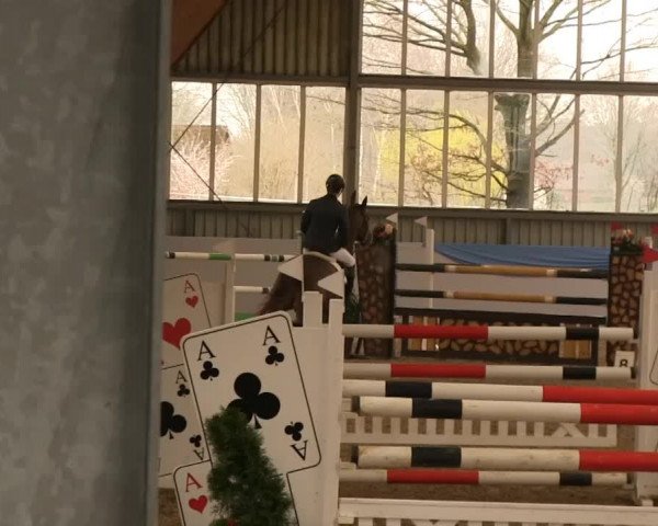 Hallen-Springturnier Greven 2014