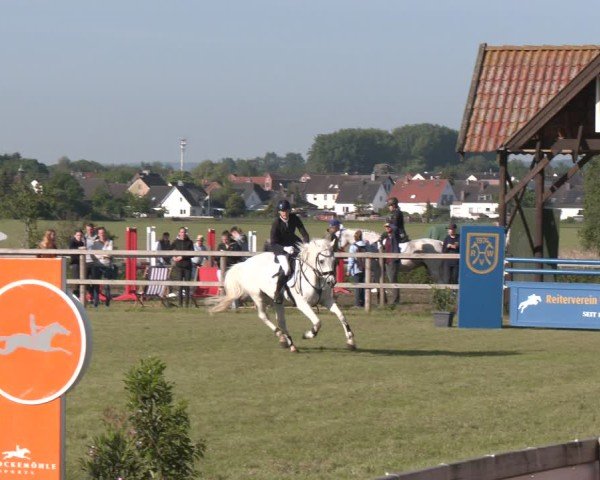 Reitturnier Wilkenburg 2025