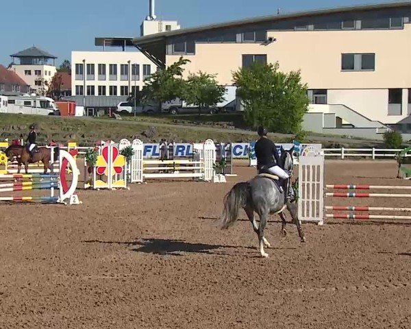 Reitturnier Kreuth/Opf. 2025