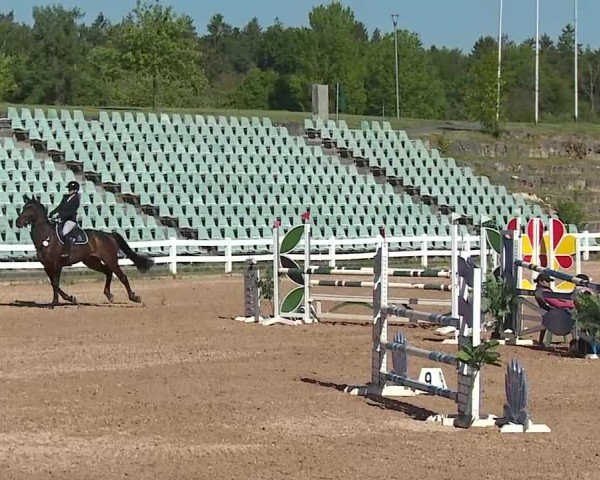 Reitturnier Kreuth/Opf. 2025