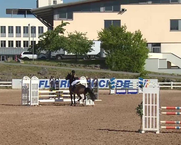 Reitturnier Kreuth/Opf. 2025
