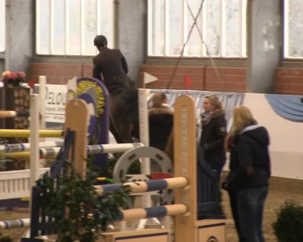 Hallen-Springturnier Greven 2014