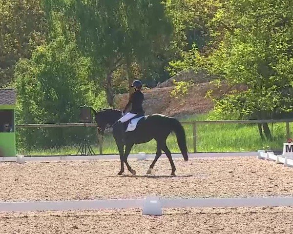 Reitturnier Kreuth/Opf. 2025