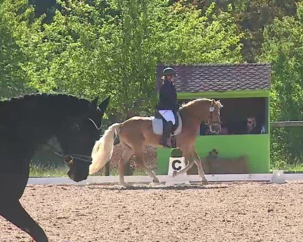 Reitturnier Kreuth/Opf. 2025