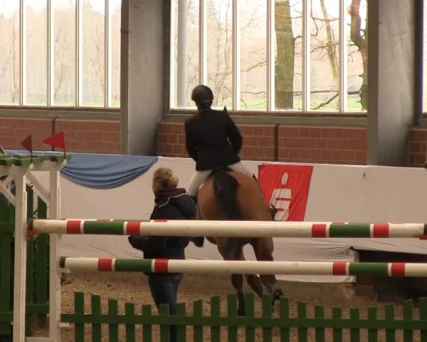 Hallen-Springturnier Greven 2014